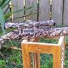 Ruger 10/22 in WTP - 339 - Matthews "Lost" Camo